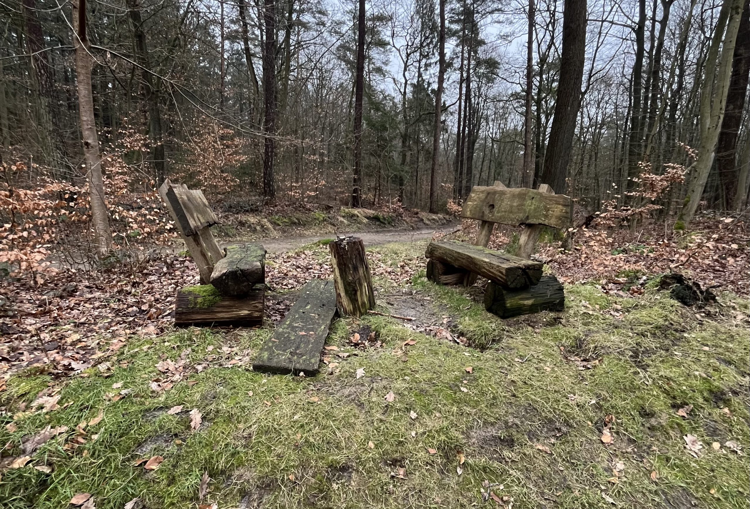 You are currently viewing Sitzbänke im Wald im maroden Zustand