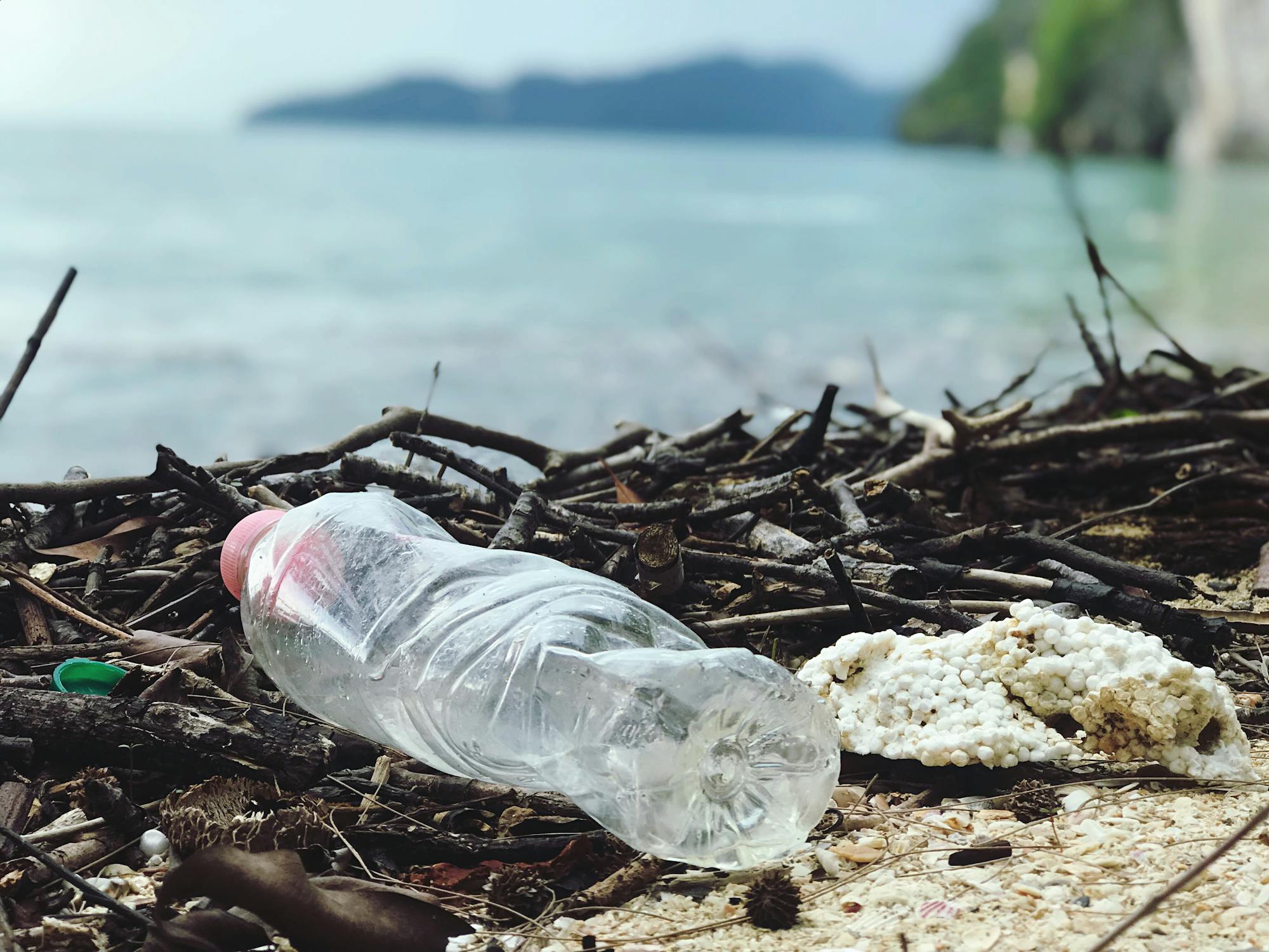 You are currently viewing Geesthacht stärkt den Kampf gegen Müll: Neuer Antrag für „Waste Watcher“ durchgesetzt