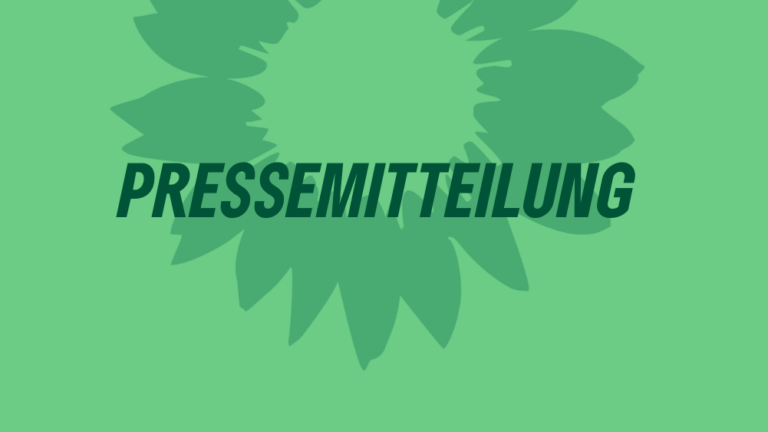 Mehr über den Artikel erfahren Stadtspaziergang über die Zukunft der Innenstadt